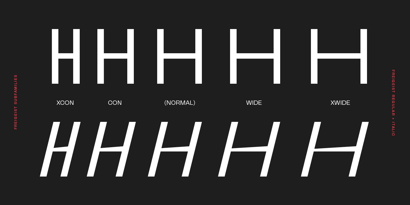 Freigeist XCon Bold Italic Font preview